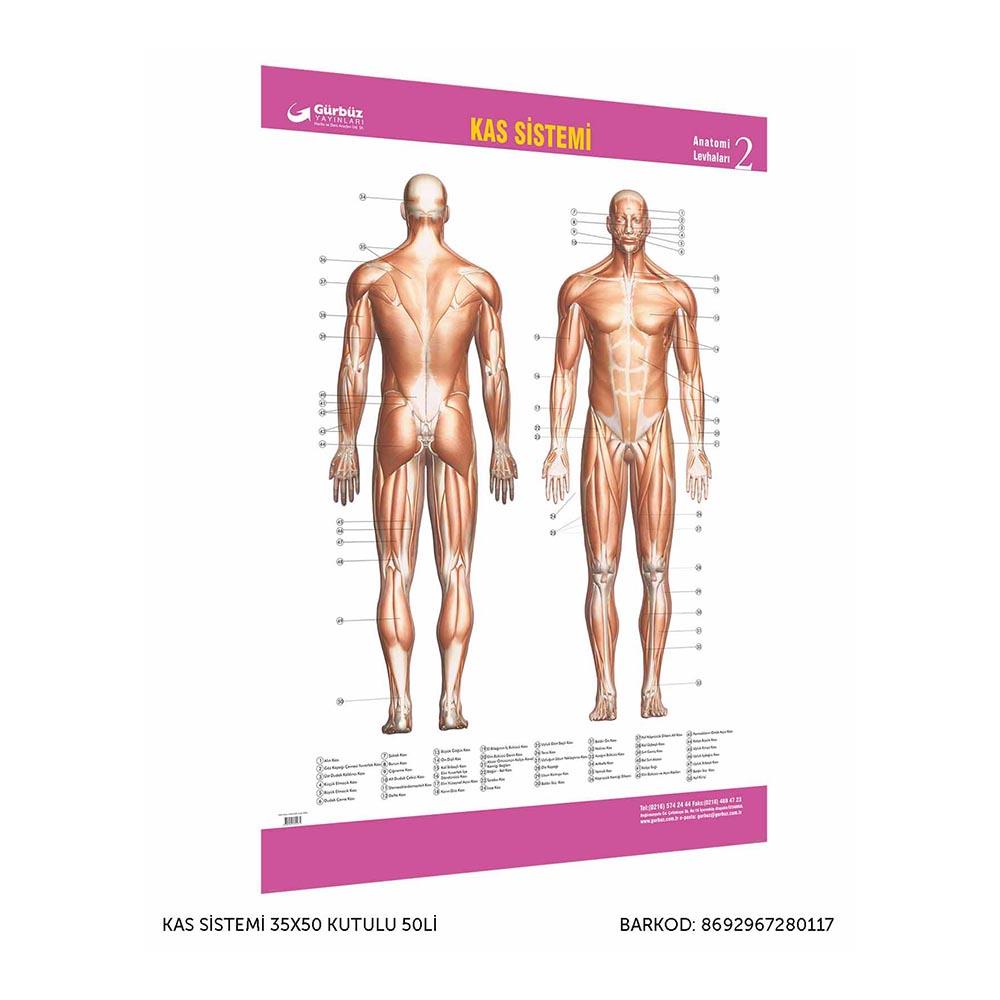 GÜRBÜZ 28200 KAS SİSTEMİ 35X50 KUTULU 50Lİ