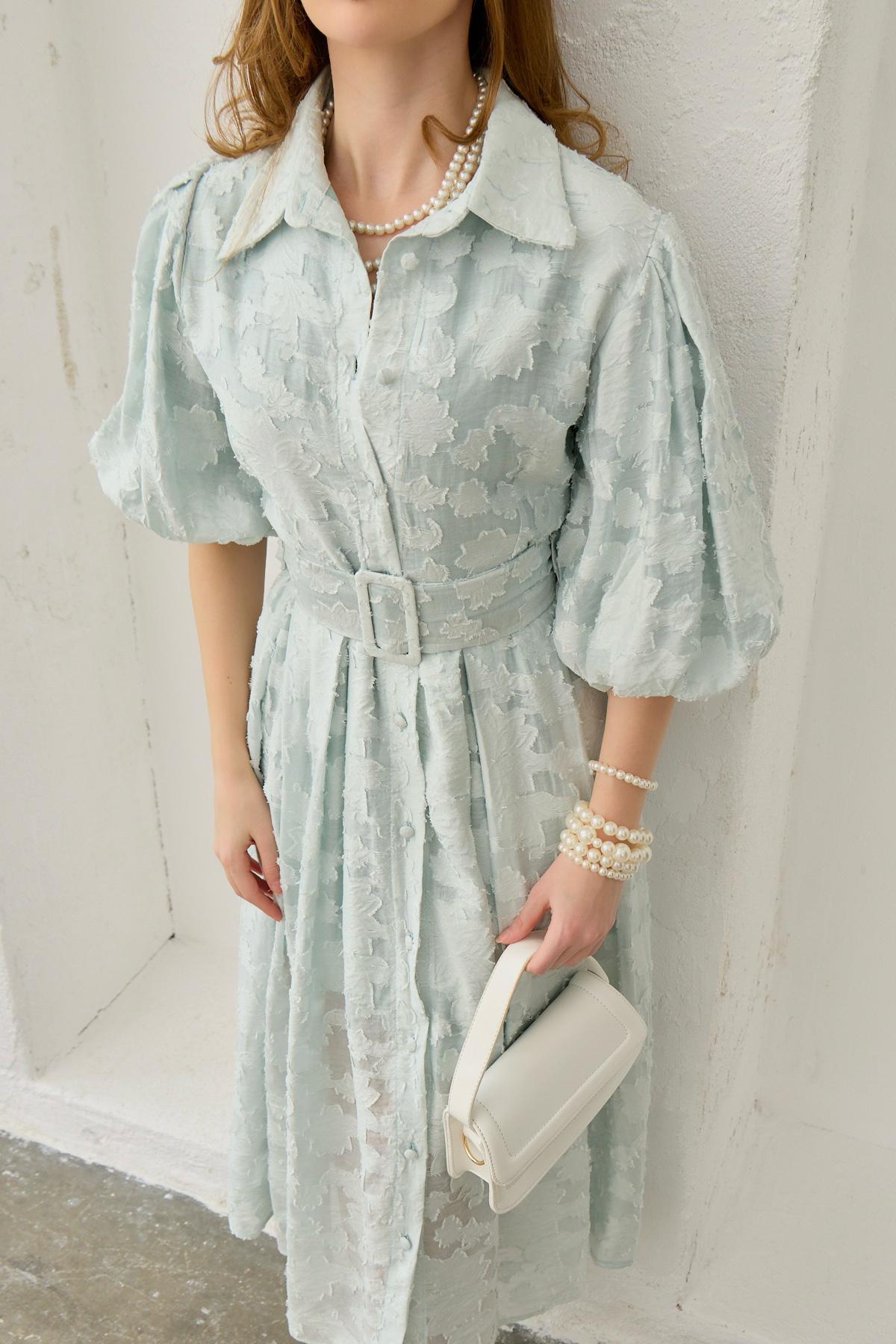 Balloon Sleeve Belted Embroidered Dress