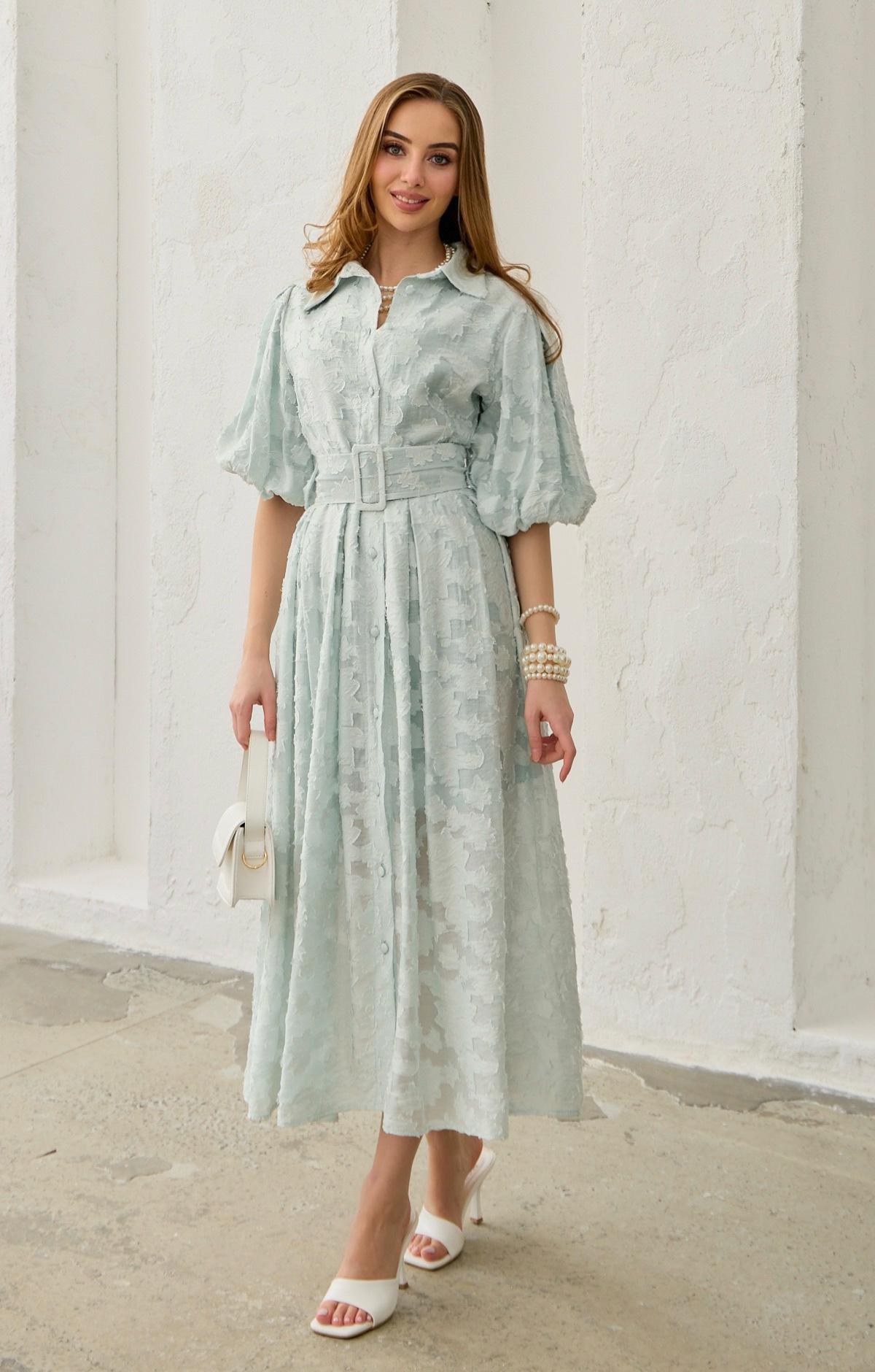 Balloon Sleeve Belted Embroidered Dress