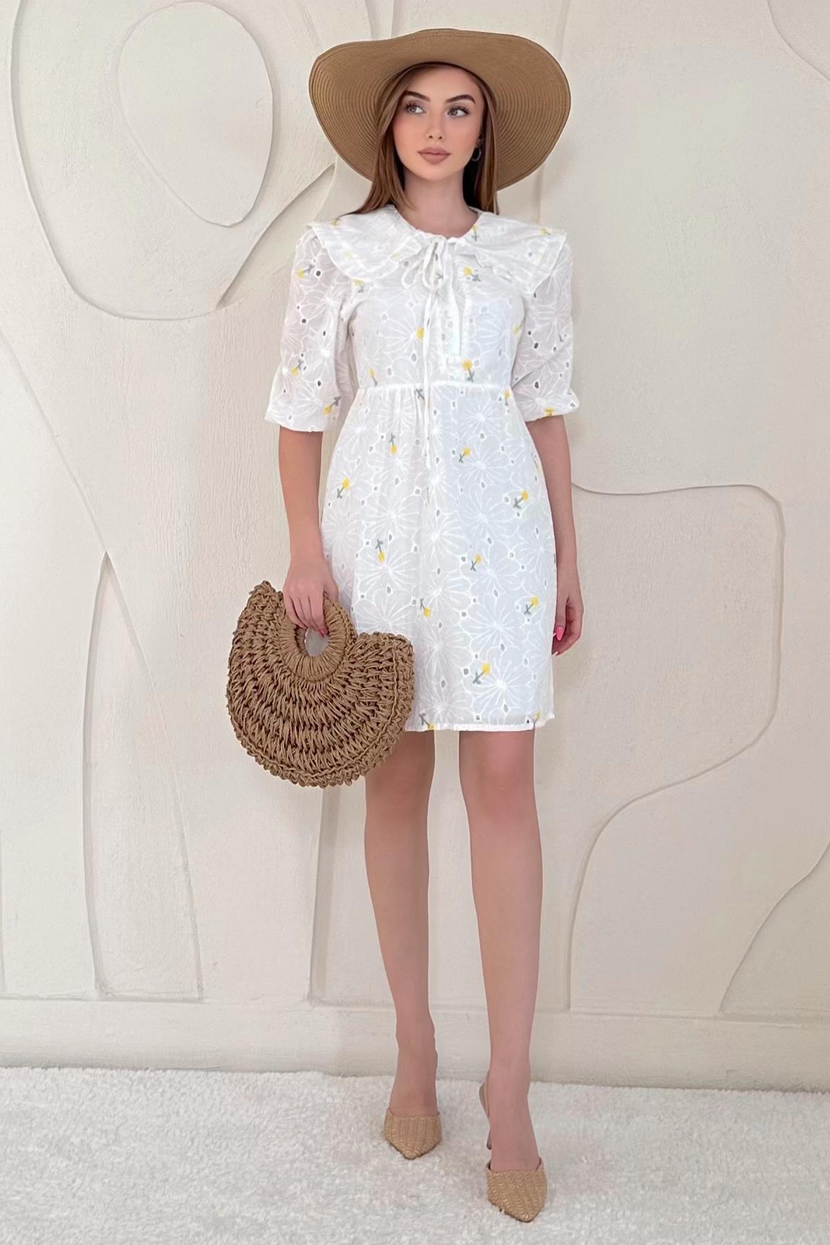 Baby Collar Embroidered Dress