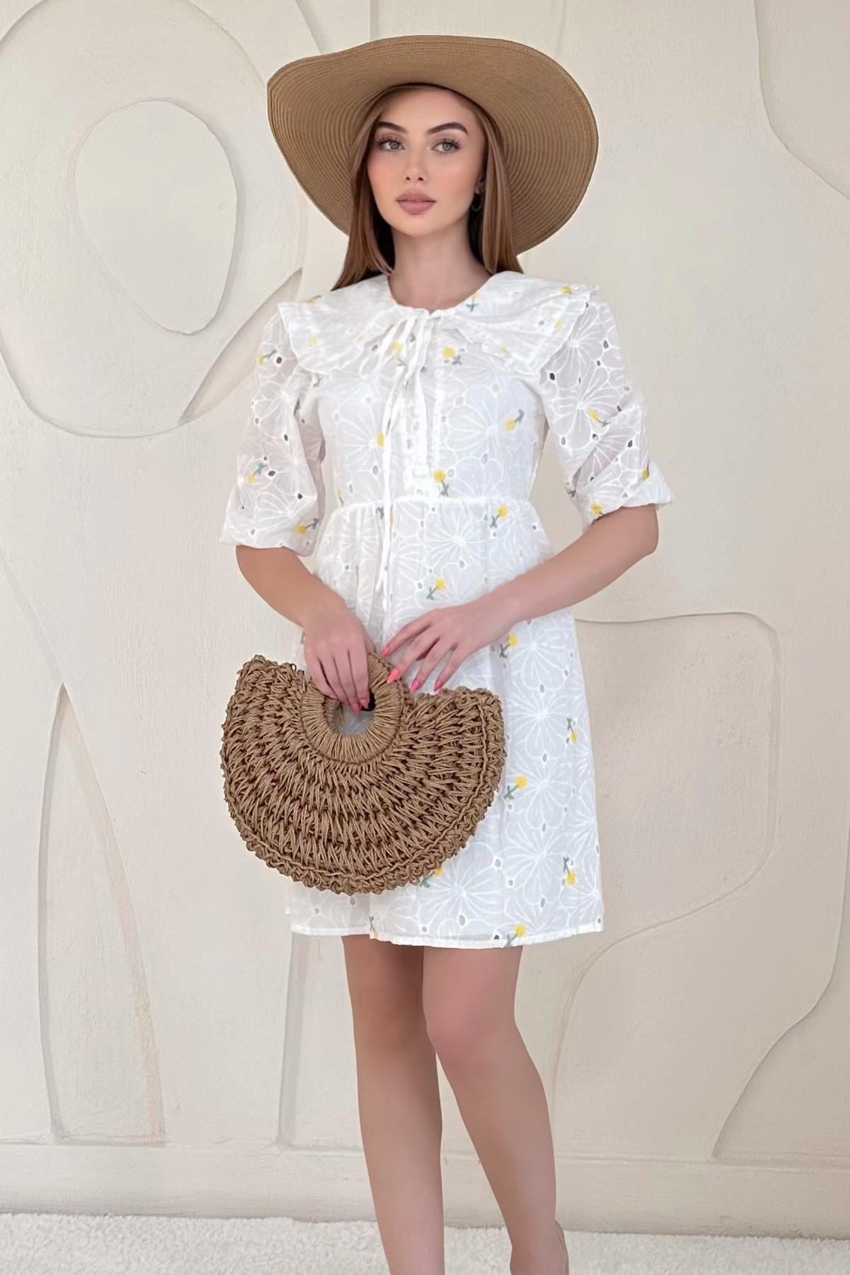 Baby Collar Embroidered Dress