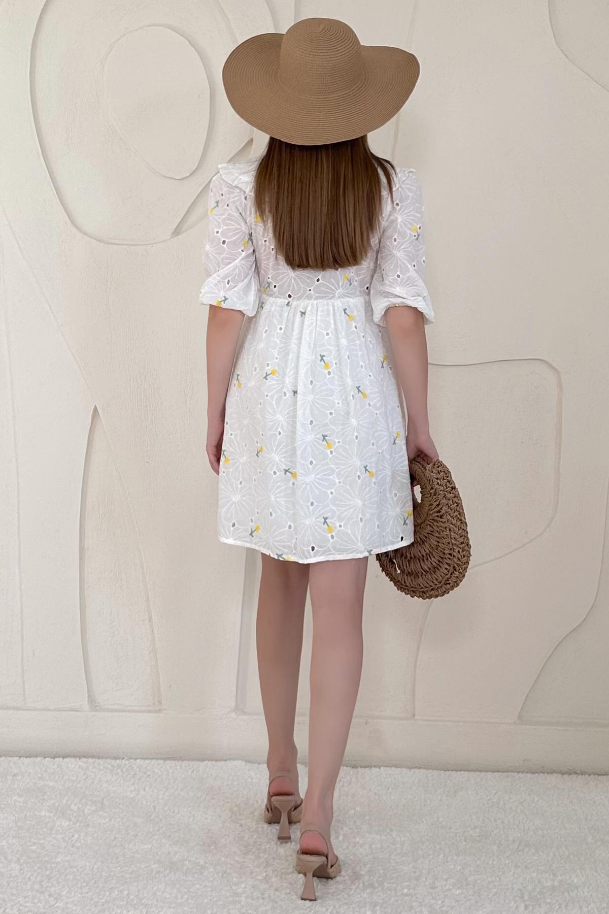 Baby Collar Embroidered Dress