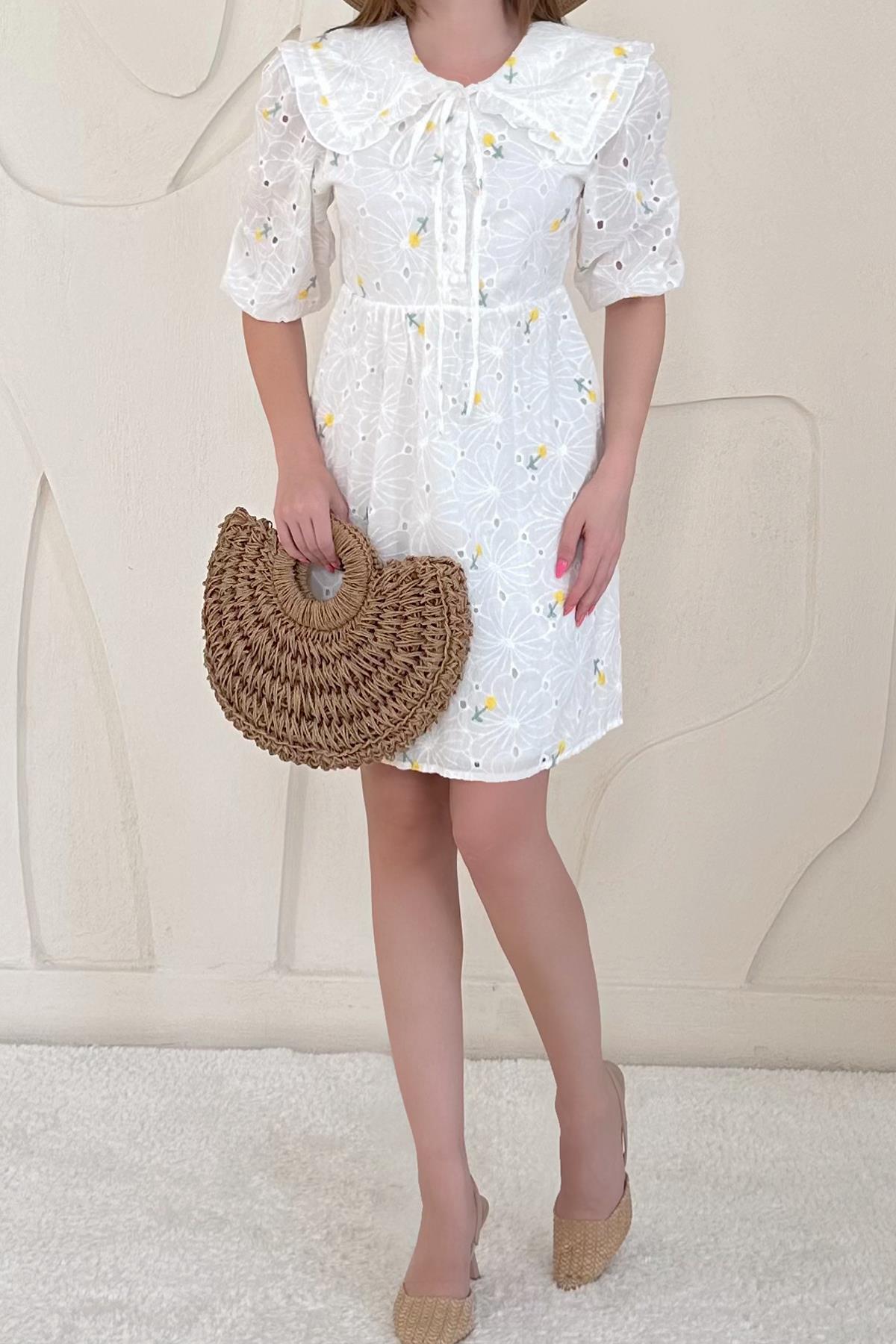 Baby Collar Embroidered Dress