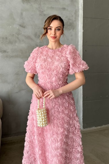 Pudra Güllü Elbise