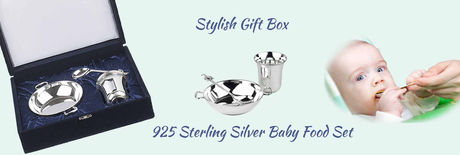 ssilver baby food set silverlayt