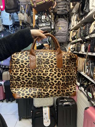 El valizi ve seyahat çantası büyük çanta