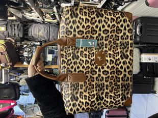 El valizi ve seyahat çantası büyük çanta