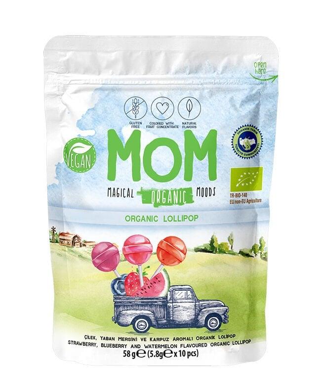 Organik Meyveli Lolipop 58 g