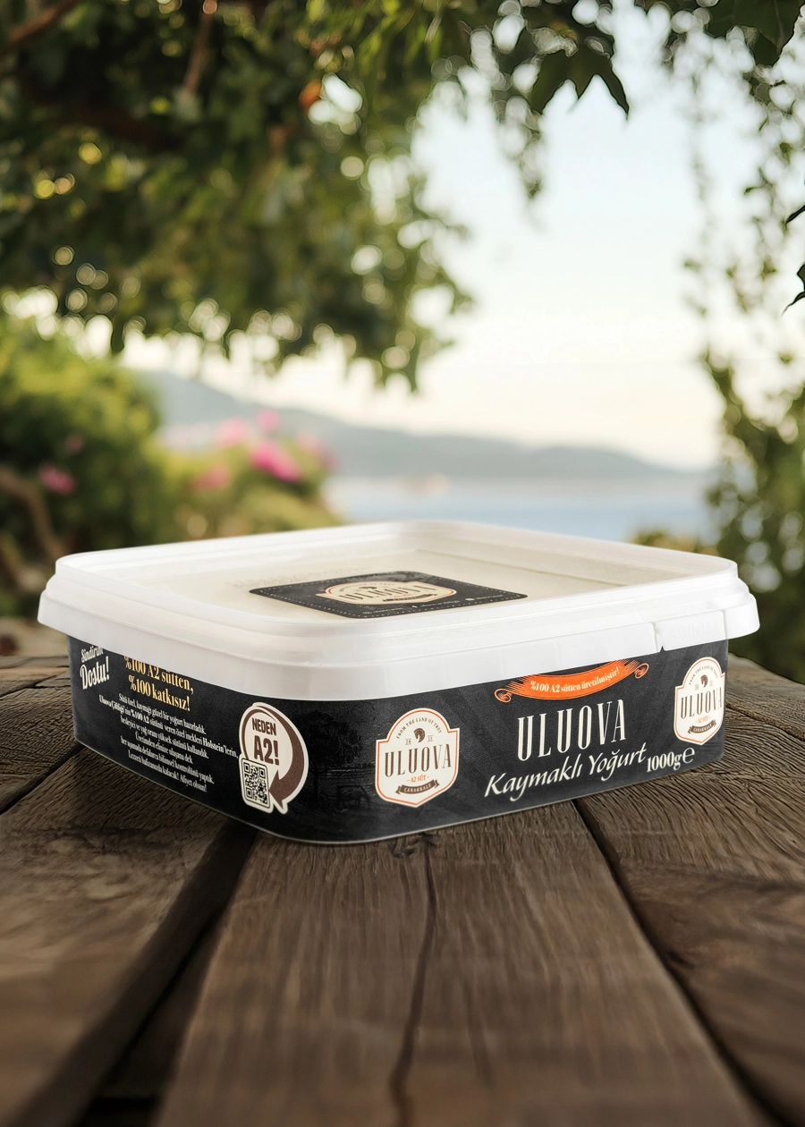 Uluova A2 Holstein Kaymaklı Tava Yoğurdu 1000 g