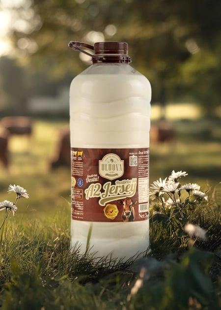 Pastorize Jersey Sütü 3 L