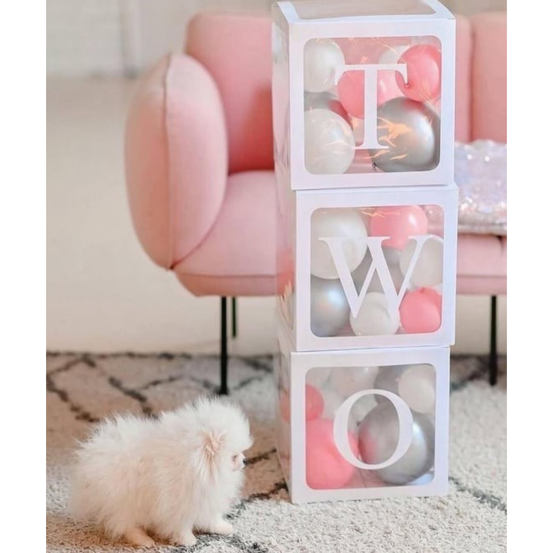 TWO BALON KUTUSU (3 ADET)