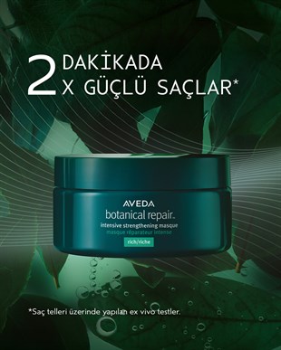 Aveda Botanical Repair Rich Masque 200ml