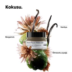 LOreal Professionnel Absolut Repair Molecular Mask 250ml