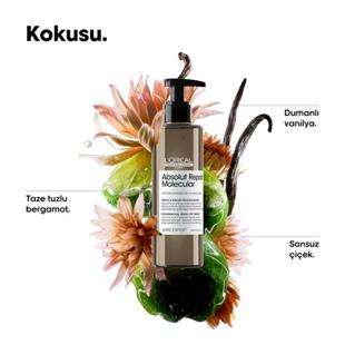 LOreal Professionnel Absolut Repair Molecular Rinse-Off Serum 250ml