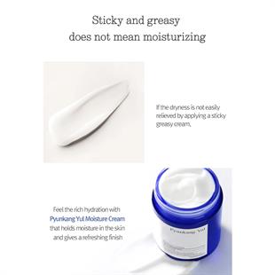 Pyunkang Yul Basic Moisture Cream 100ml
