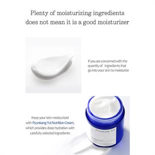 Pyunkang Yul Basic Nutrition Cream 100ml