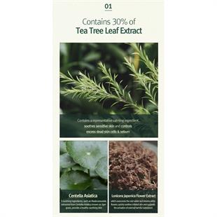 Pyunkang Yul Calming Acne Cleansing Foam 100ml