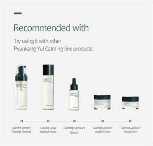 Pyunkang Yul Calming Acne Cleansing Foam 100ml