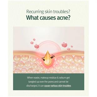 Pyunkang Yul Calming Acne Cleansing Foam 100ml