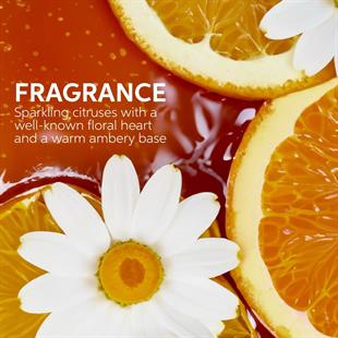 Wella Ultimate Smooth Miracle Oil Serum 100ml