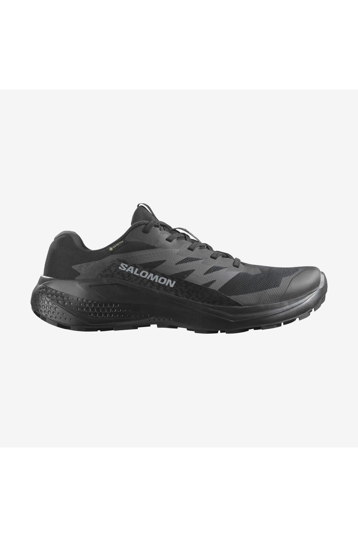Salomon 478021 Alphaglide Goretex Erkek Patika Koşu Ayakkabısı SİYAH