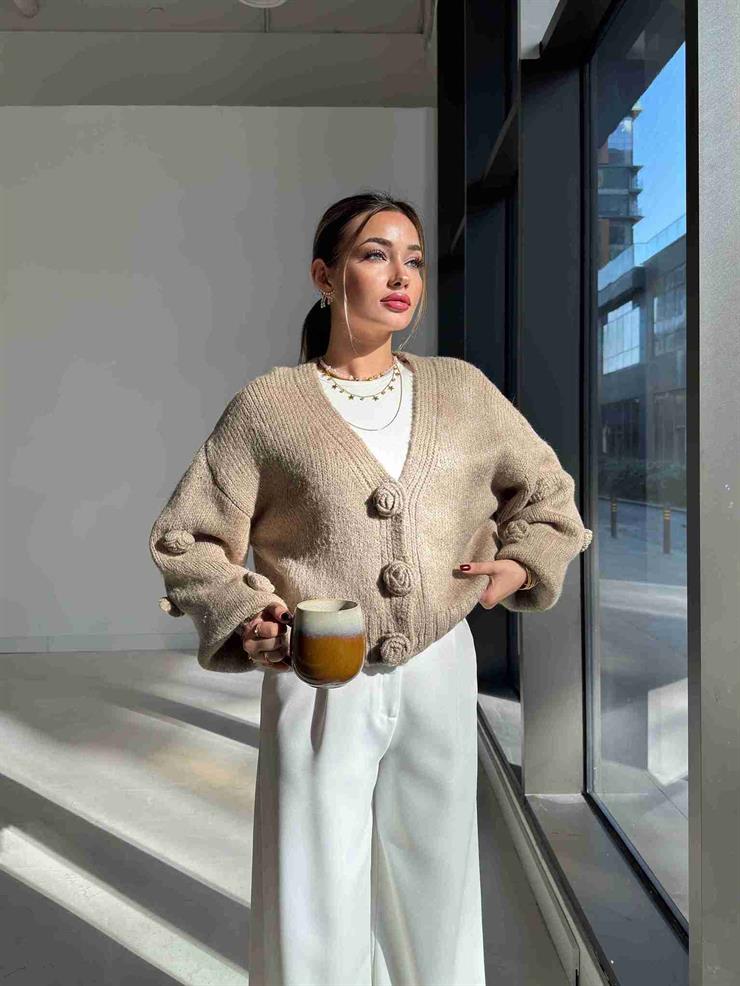 Güllü Önü Çıtçıtlı Herine Vizon Kadın Triko Hırka 26K172