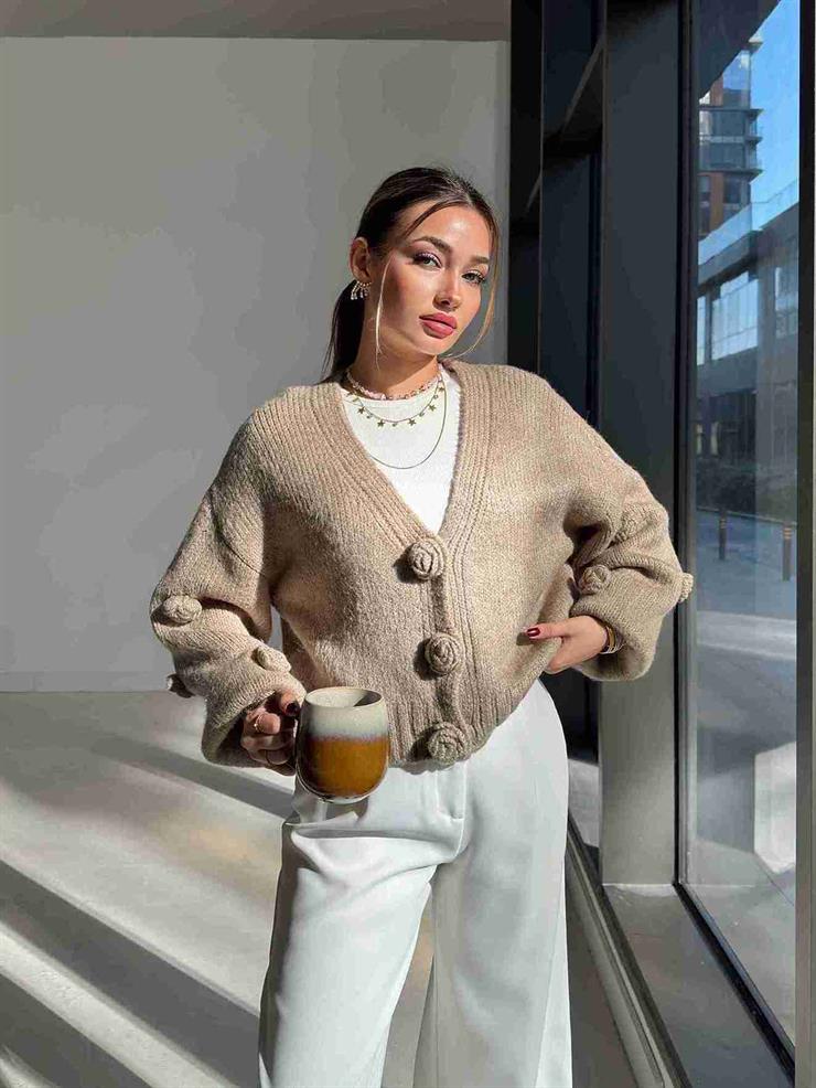 Güllü Önü Çıtçıtlı Herine Vizon Kadın Triko Hırka 26K172