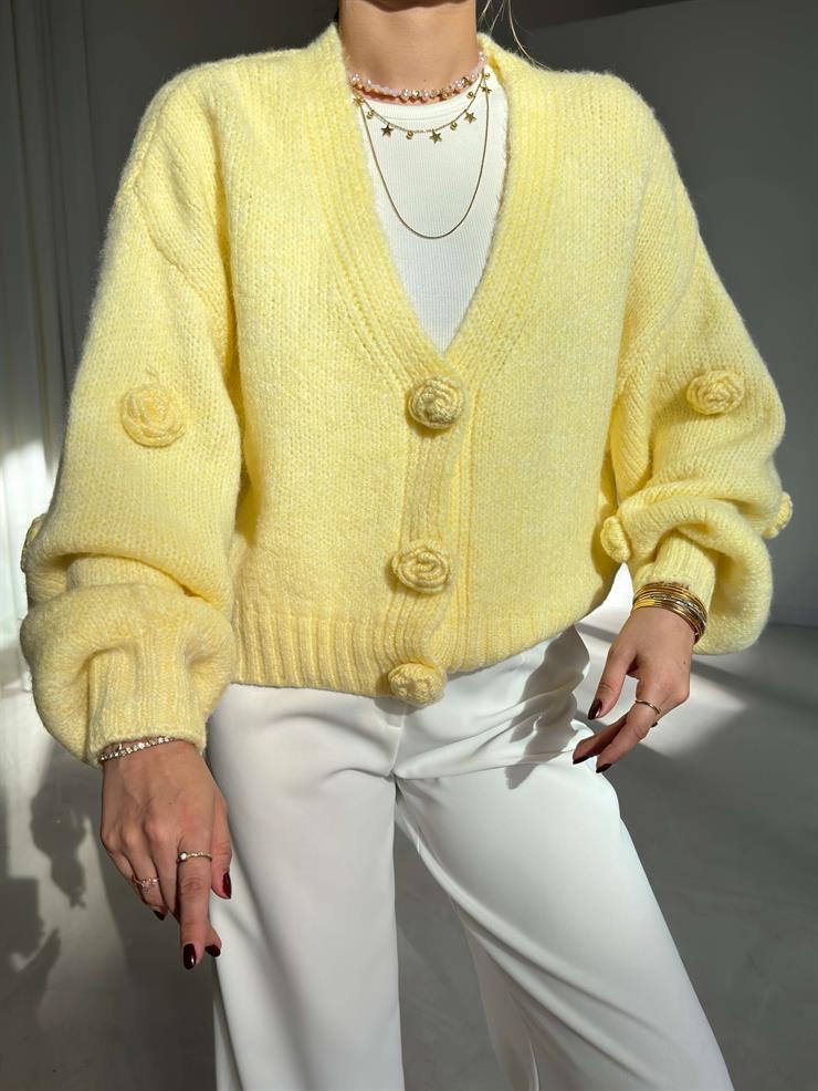 Güllü Önü Çıtçıtlı Herine Sarı Kadın Triko Hırka 26K172