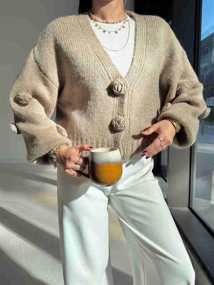 Güllü Önü Çıtçıtlı Herine Vizon Kadın Triko Hırka 26K172