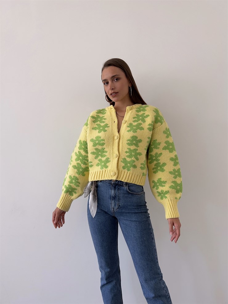 Önü Düğme Kapamalı Çiçek Desenli Glen Kadın Sarı Hırka 23K000170