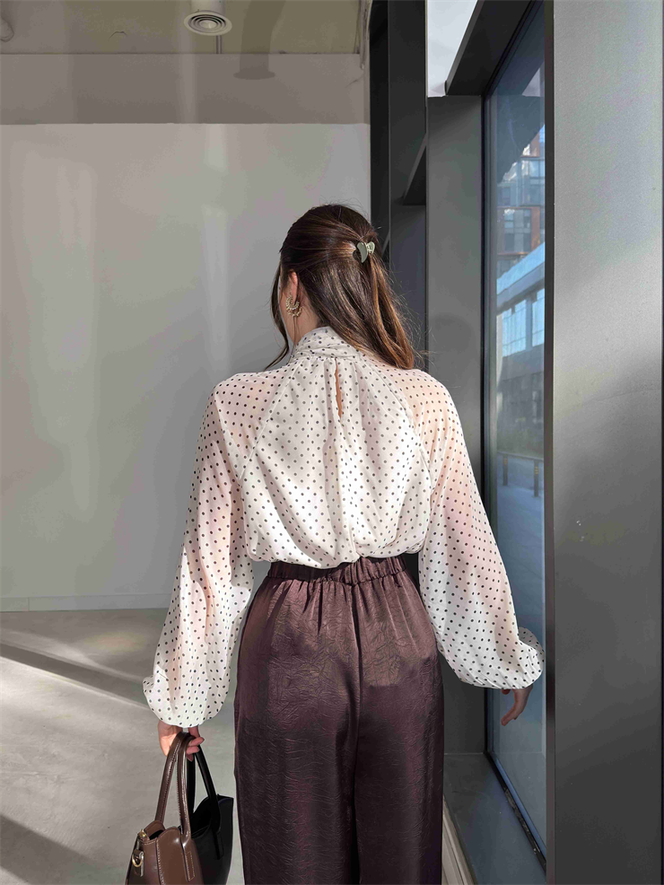 Puantiyeli Şifon Boyundan Bağlamalı Pivon Ekru Kadın Bluz 26Y078