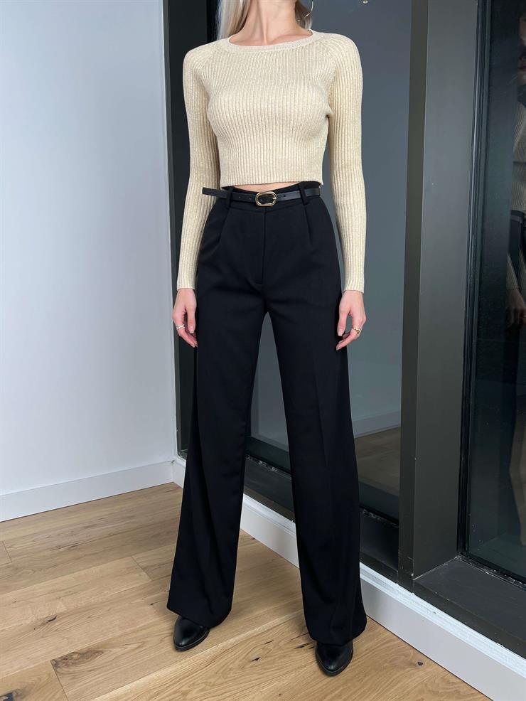 Yüksek Bel Beli Pens Detaylı Robert Kadın Siyah Palazzo Pantolon 24k288