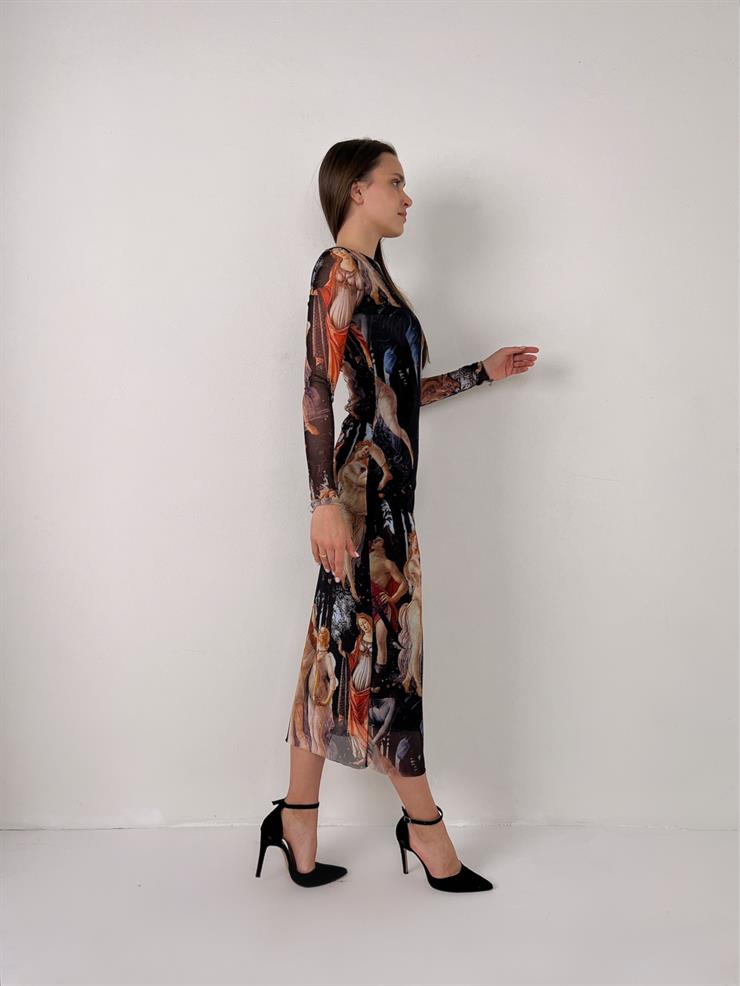 Uzun Kollu Tül Ness Kadın Renkli Desenli Elbise 23Y000103