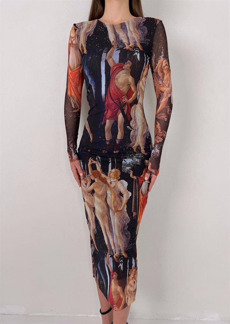 Uzun Kollu Tül Ness Kadın Renkli Desenli Elbise 23Y000103