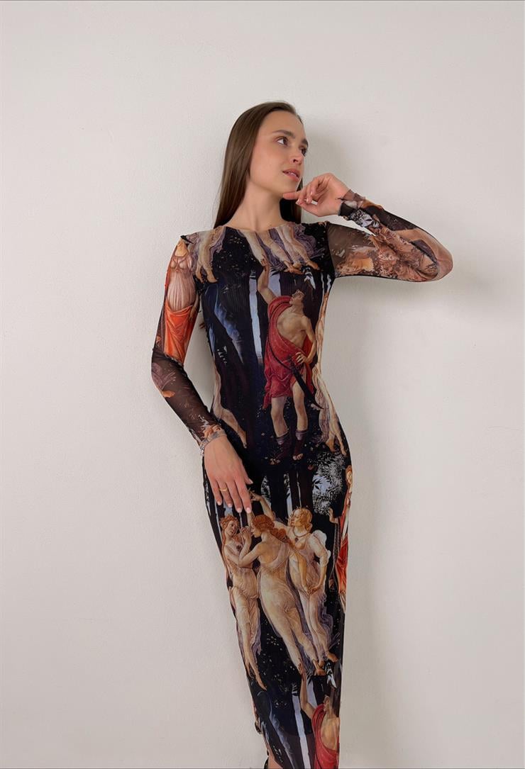 Uzun Kollu Tül Ness Kadın Renkli Desenli Elbise 23Y000103