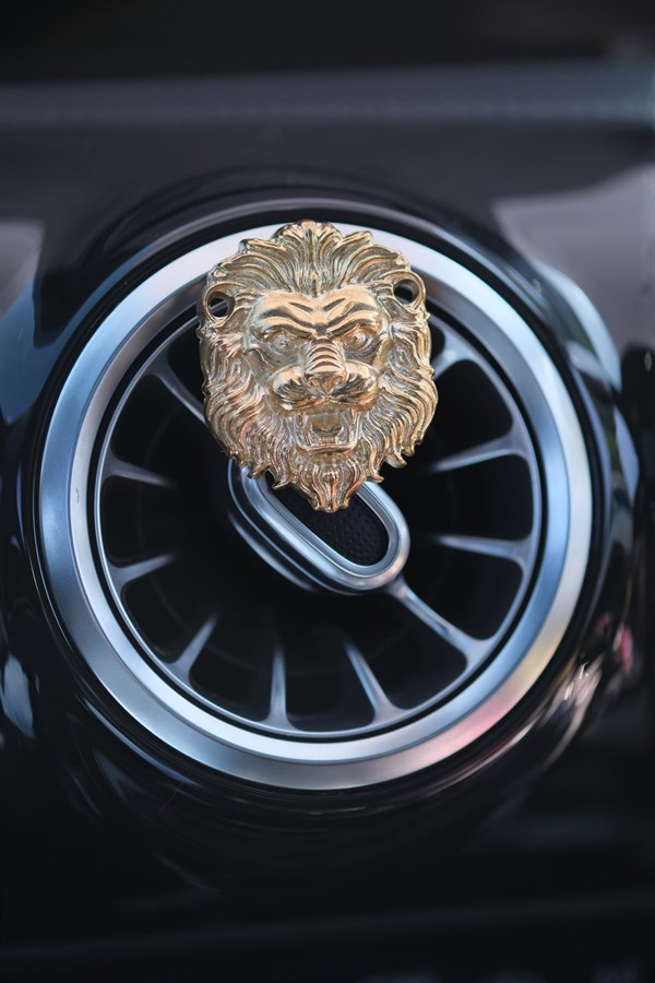 Gold Aslan Klima Koku 