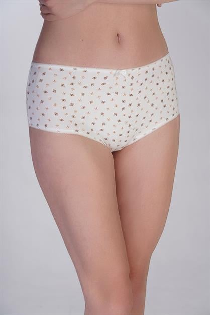 3-Pack Cotton Slip Panties 5003