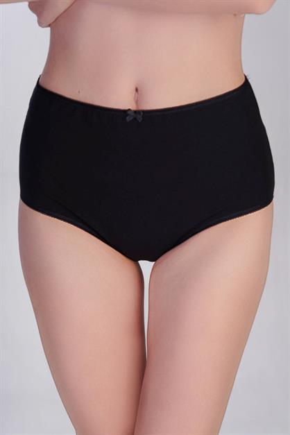 3-Pack Cotton High-Waisted Briefs 5004 