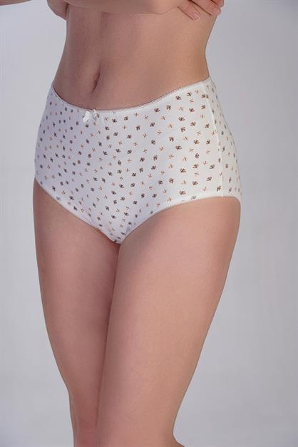 3-Pack Cotton High-Waisted Briefs 5004 