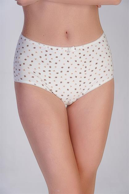 3-Pack Cotton High-Waisted Briefs 5004 
