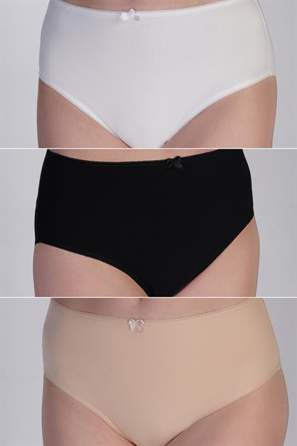 3-Pack High Waist Bikini Panties 5002