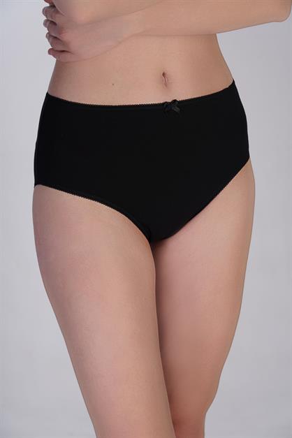 3-Pack High Waist Bikini Panties 5002