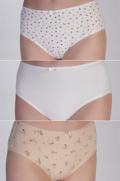 3-Pack High Waist Bikini Panties 5002