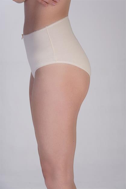 3-Pack High Waist Bikini Panties 5002