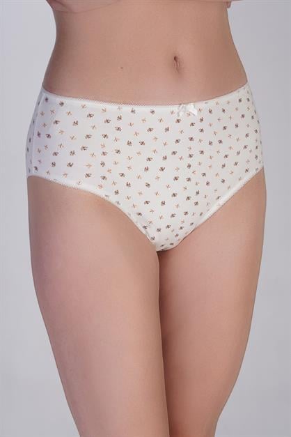 3-Pack High Waist Bikini Panties 5002