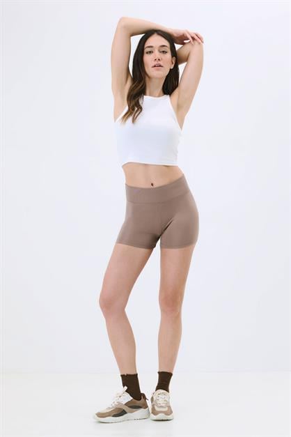 High-Waisted Sheer Mesh Detail Panties - Elegant Lace & Tulle Briefs - Style C19303