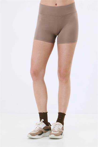 High-Waisted Sheer Mesh Detail Panties - Elegant Lace & Tulle Briefs - Style C19303