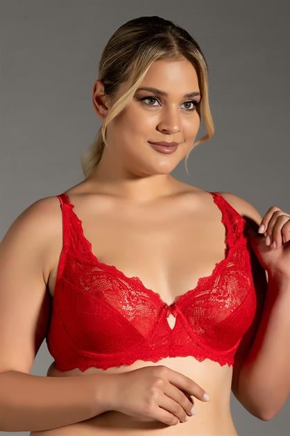 Lace Detail Minimizer Bra C12302