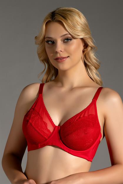 Lace Detail Minimizer Bra C12301