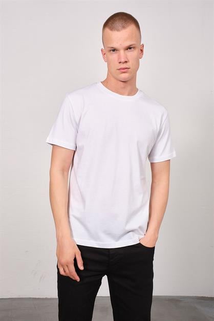 Mens Crew Neck 2-Pack Regular Fit Basic T-Shirt 990